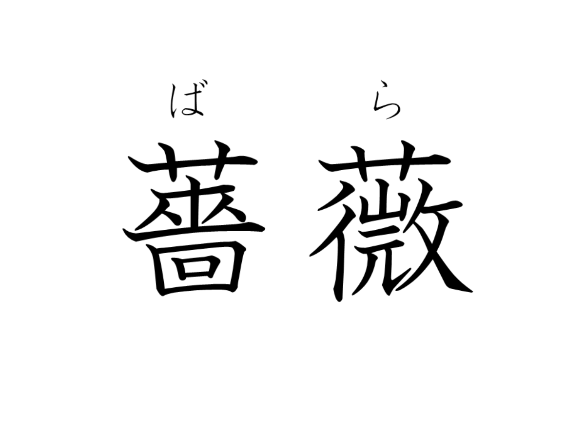 薔薇の漢字の書き方と由来 覚え方 拡大画像あり ハレジョブ